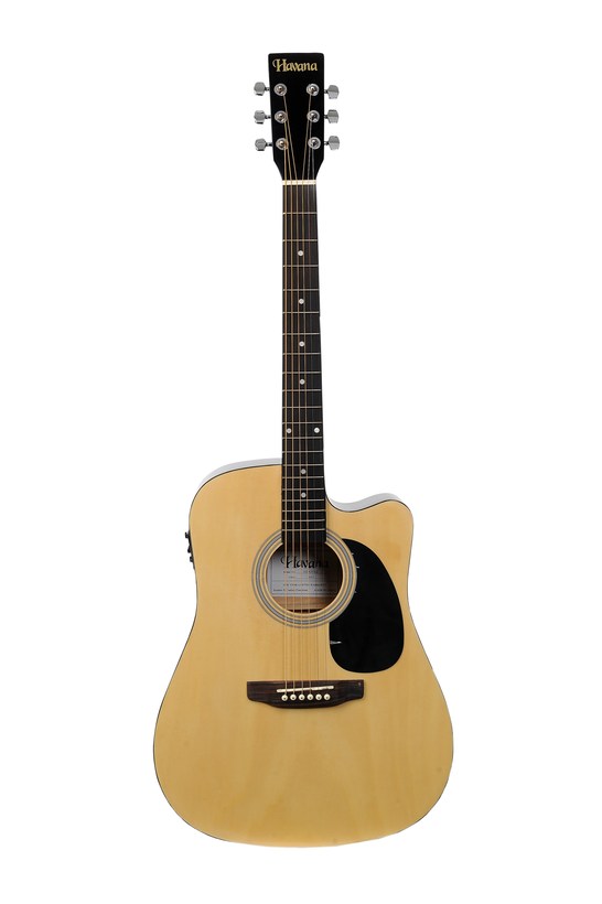 Acoustic & Electric Guitars