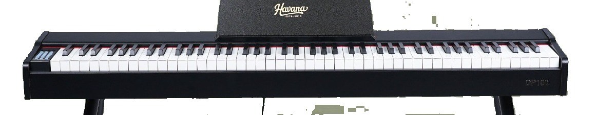 Digital Pianos & Keys