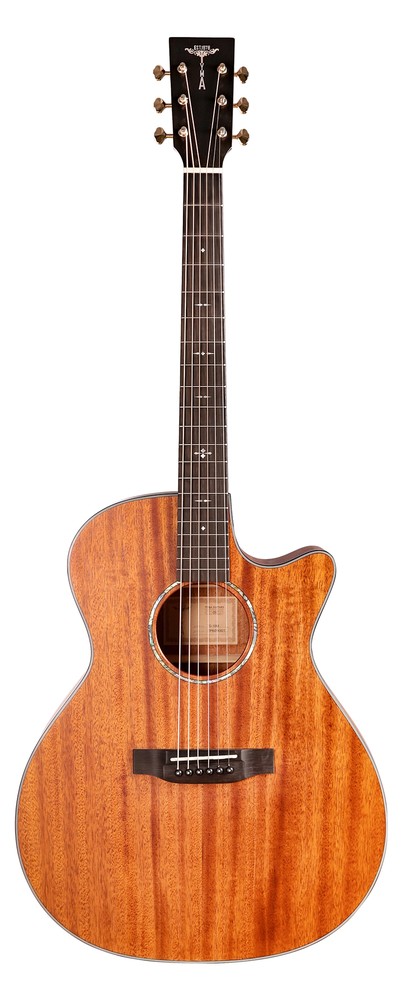 Tyma electro-acoustic cutaway